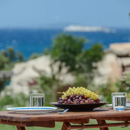 Ydreos & * ميكري فيغلا